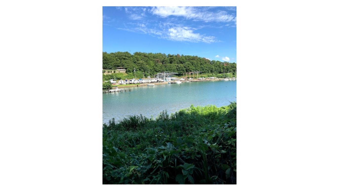 周辺環境