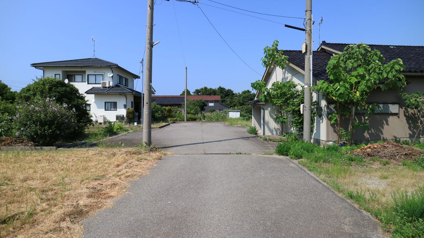 前道含む外観