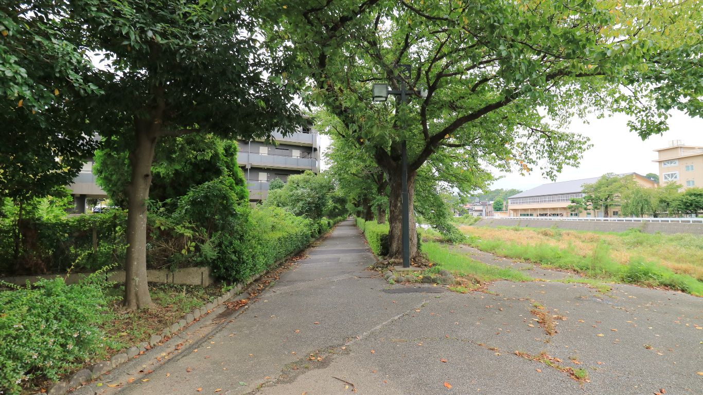 南西側前面道を北西から南東向きに見た景色